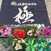 画像233