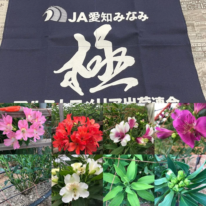 画像233