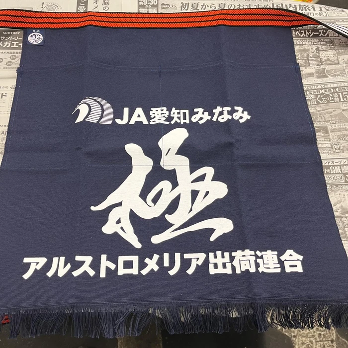 画像234