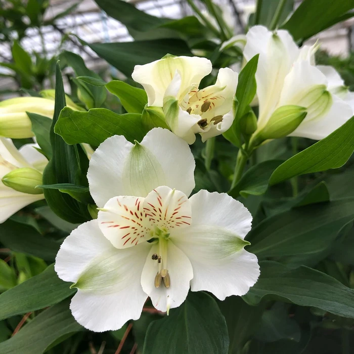 画像236