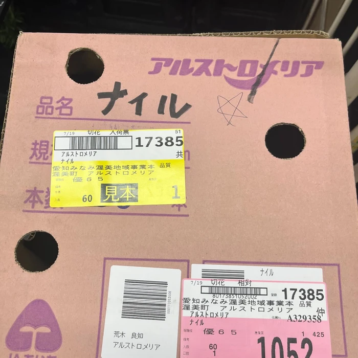 画像249