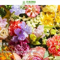 画像254