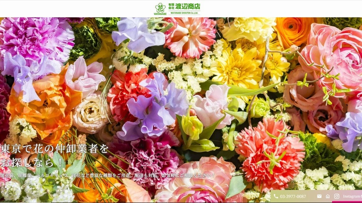 画像254
