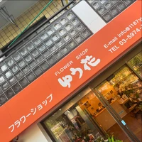 画像257
