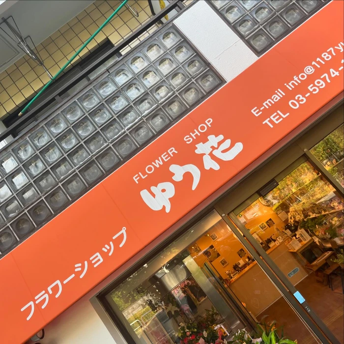 画像257