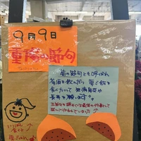 画像265