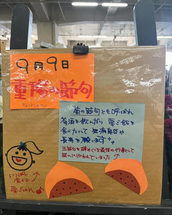 画像265