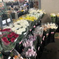 画像266