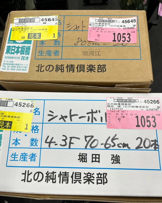 画像268