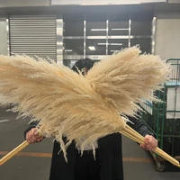 画像274