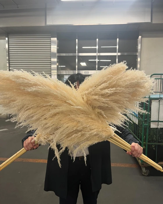 画像274