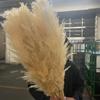 画像275