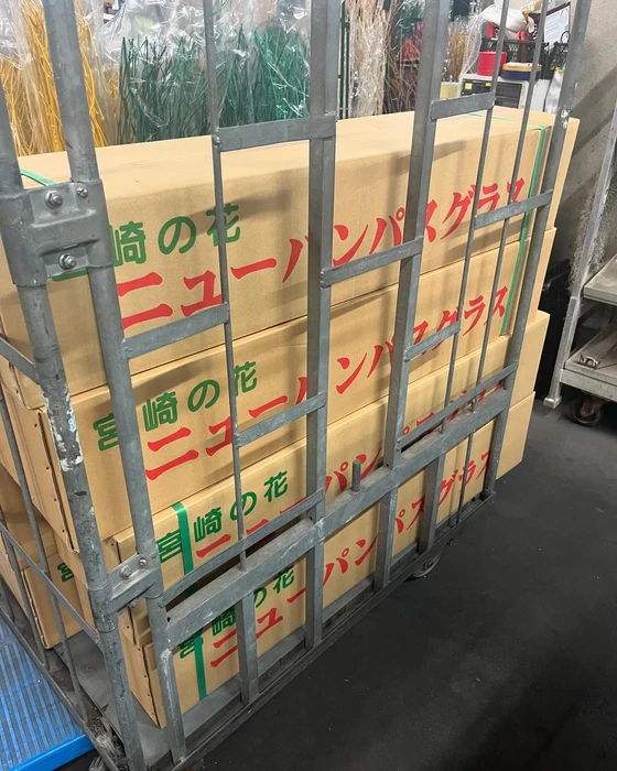画像276
