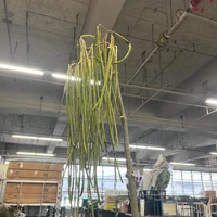 画像279