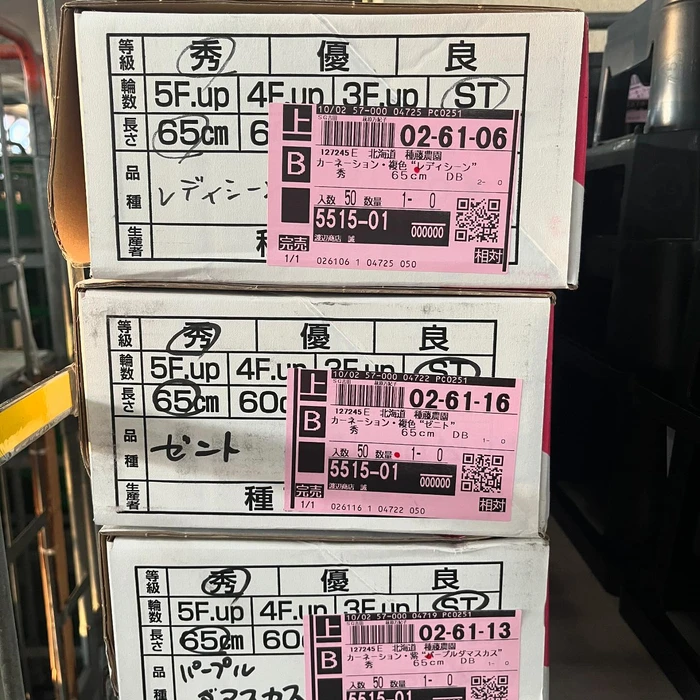 画像290