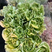 画像291
