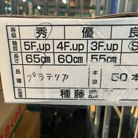 画像292