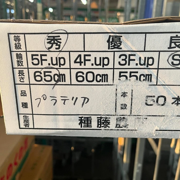 画像292