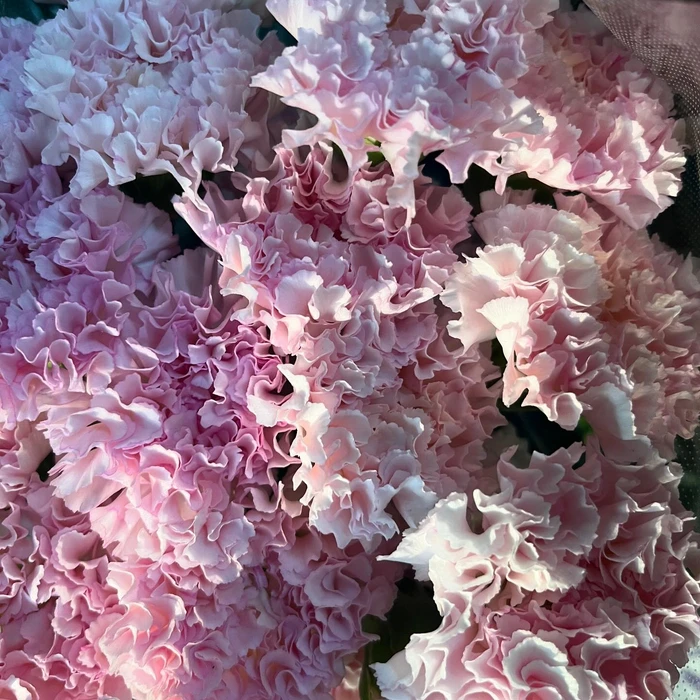画像295