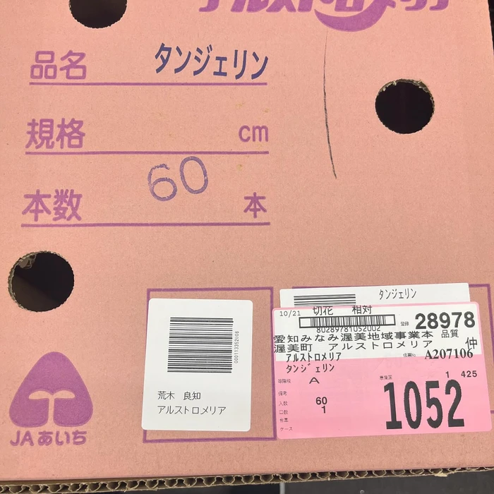 画像299