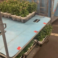 画像308